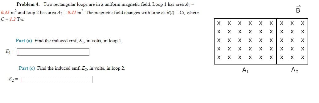 Problem 4: Two rectangular loops are in a uniform magnetic field. Loop 1 has area A1 =
0.45 m2 and loop 2 has area A2 = 0.41 m2. The magnetic field changes with time as B(t) = Ct, where
C = 1.2 T/s.
X
X
X
X
X
X
X
X
Part (a) Find the induced emf, E, in volts, in loop 1.
X
X
X
X
хх
X
E1
X
X
X
Part (c) Find the induced emf, E, in volts, in loop 2.
A,
A2
E2 =
x x >
