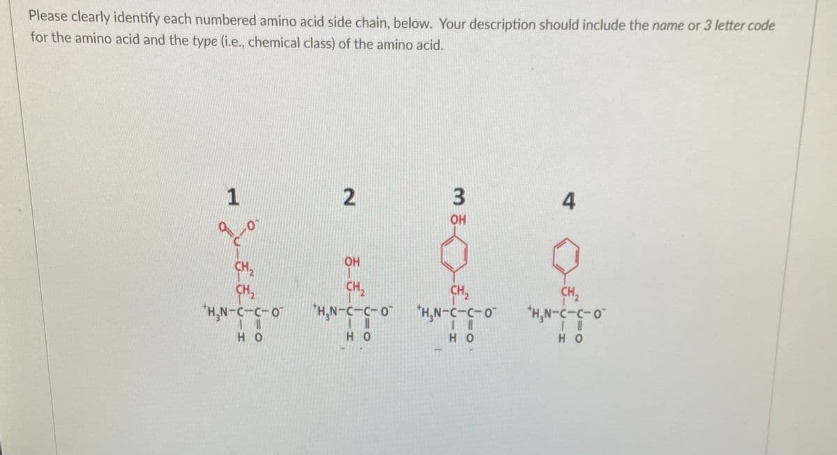 Please clearly identify each numbered amino acid side chain, below. Your description should include the name or 3 letter code
for the amino acid and the type (i.e., chemical class) of the amino acid.
1
4
OH
OH
CH,
CH,
CH2
CH2
CH,
"H,N-C-C-0
"H,N-C-C-0
"H,N-C-C-0
_0-5-5-N H.
H O
H O
HO
но
