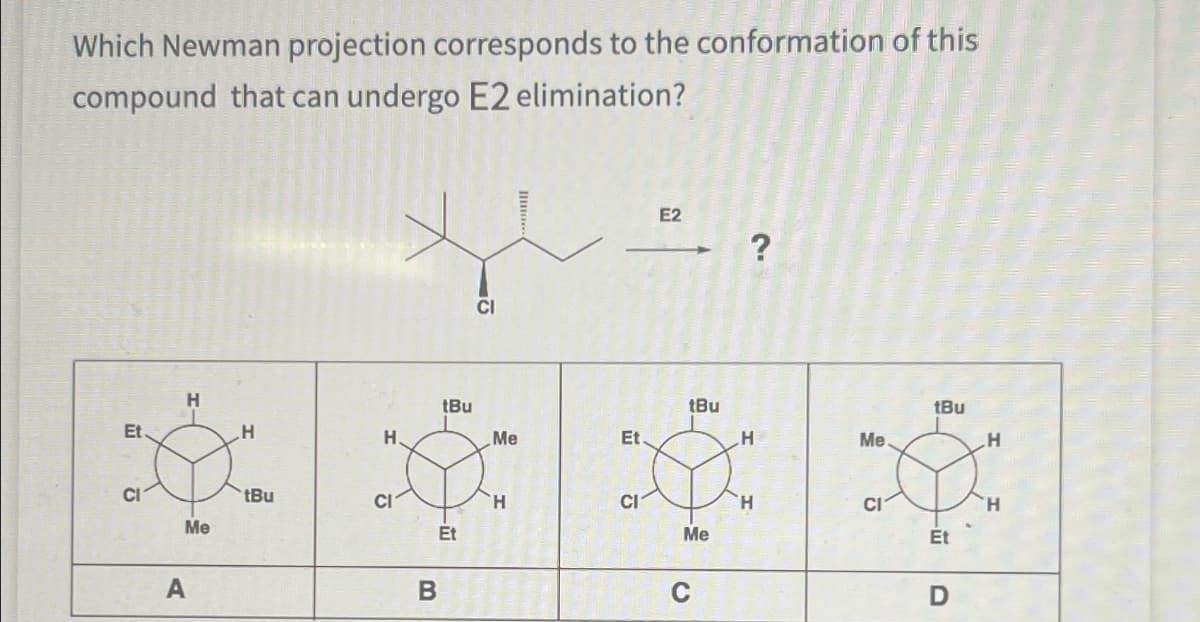 Which Newman projection corresponds to the conformation of this
compound that can undergo E2 elimination?
Et
CI
E2
?
H
tBu
tBu
tBu
H
H
Me
Et.
H
Me
H
CI
tBu
CI
H
CI
H
CI
H
Me
Et
Me
Et
A
B
D