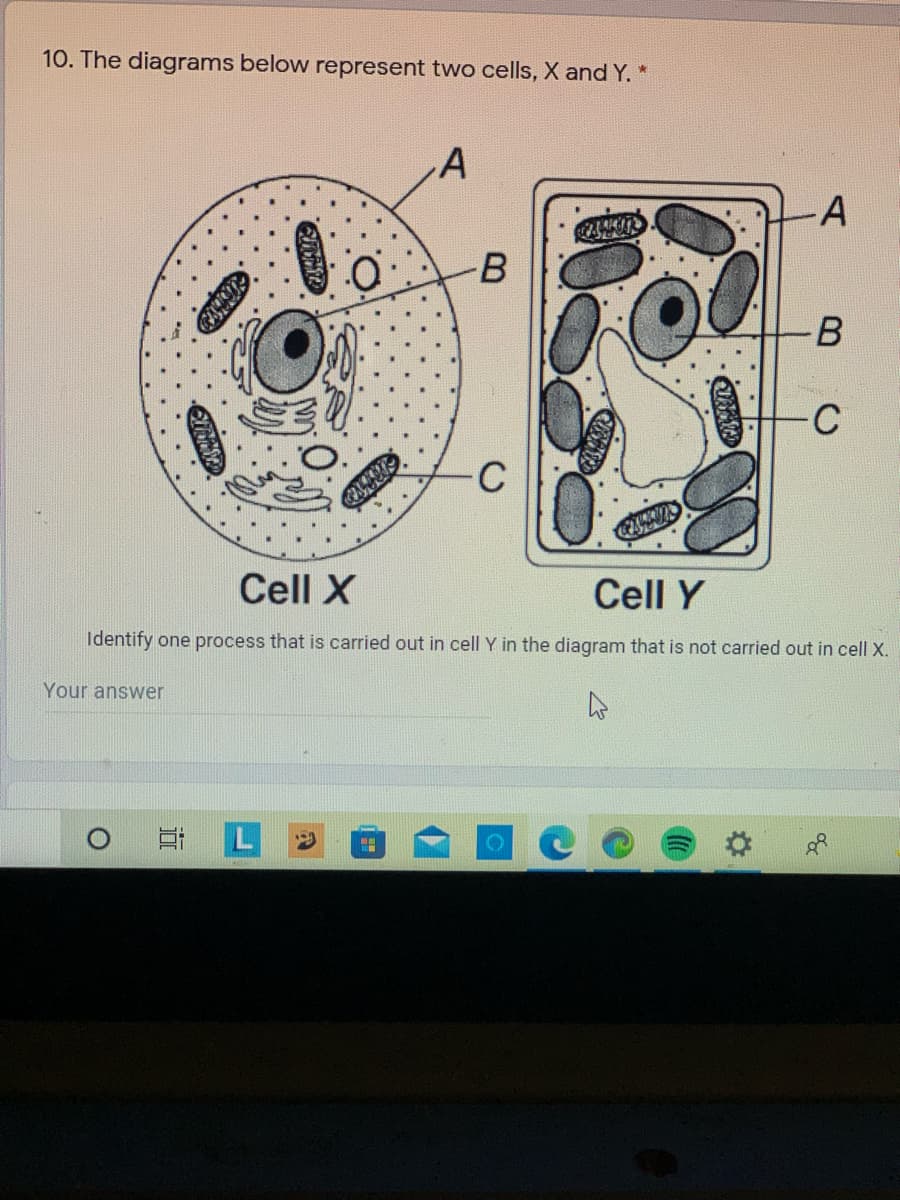 10. The diagrams below represent two cells, X and Y. *
B
C
C
Cell X
Cell Y
Identify one process that is carried out in cell Y in the diagram that is not carried out in cell X.
Your answer
L.
