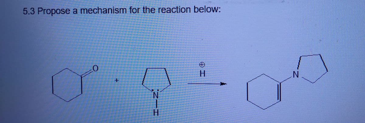 5.3 Propose a mechanism for the reaction below:
H.
N.
