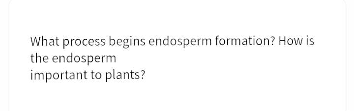 What process begins endosperm formation? How is
the endosperm
important to plants?
