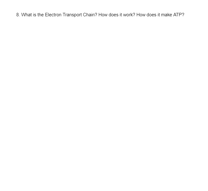 8. What is the Electron Transport Chain? How does it work? How does it make ATP?