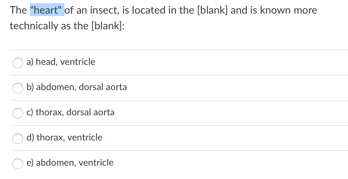 The "heart" of an insect, is located in the [blank] and is known more
technically as the [blank]:
a) head, ventricle
b) abdomen, dorsal aorta
c) thorax, dorsal aorta
d) thorax, ventricle
e) abdomen, ventricle