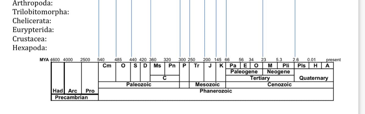 Arthropoda:
Trilobitomorpha:
Chelicerata:
Eurypterida:
Crustacea:
Hexapoda:
MYA 4600 4000 2500 540 485 440 420 360 320 300 250
O SD Ms Pn P Tr
Cm
Had Arc Pro
Precambrian
Paleozoic
200 145 66 56 34 23
J K Pa E O
Paleogene
Mesozoic
Phanerozoic
5.3
M Pli
Neogene
Cenozoic
Tertiary
2.6 0.01
Pls
H
present
A
Quaternary