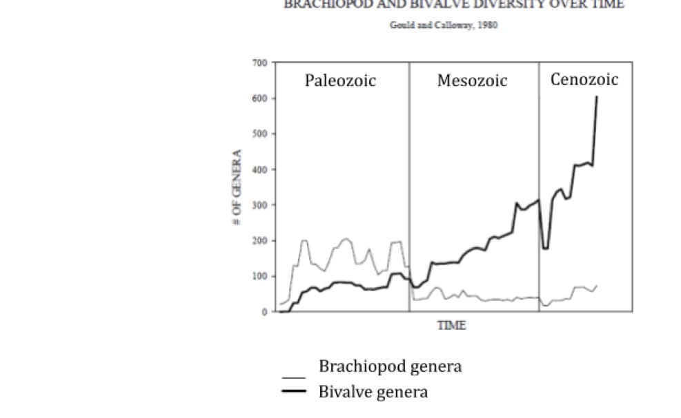 # OF GENERA
700
600
500
400
300
200
100
0
BRACHIOPOD AND BIVALVE DIVERSITY OVER TIME
Gould and Calloway, 1980
Paleozoic
Mesozoic
TIME
Brachiopod genera
Bivalve genera
Cenozoic