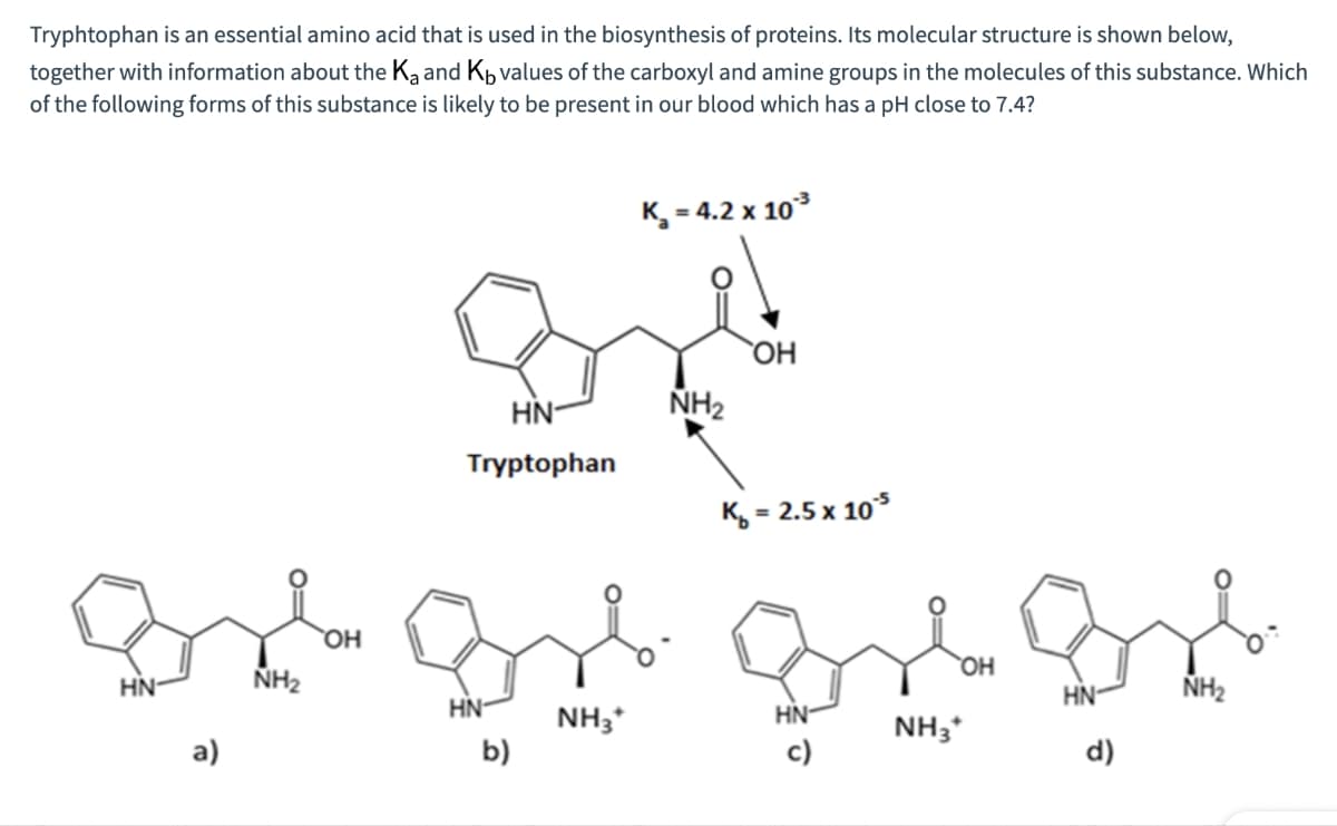 Tryphtophan is an essential amino acid that is used in the biosynthesis of proteins. Its molecular structure is shown below,
together with information about the Ka and Kb values of the carboxyl and amine groups in the molecules of this substance. Which
of the following forms of this substance is likely to be present in our blood which has a pH close to 7.4?
HN-
a)
NH2
ΟΗ
K_= 4.2 x 103
ΤΗ
HN-
NH2
Tryptophan
Ko=2.5x105
HN-
ΟΗ
HN
NH2
NH3+
HN
NH3+
b)
c)
d)