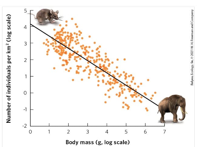 Number of individuals per km² (log scale)
2
0
1
1
I
2
3
4
Body mass (g, log scale)
T
5
6
7
Relyea, Ecology, 9e, 2021 W. H. Freeman and Company