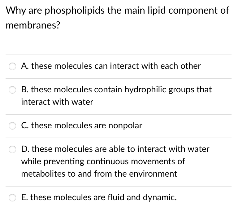 Why are phospholipids the main lipid component of
membranes?
A. these molecules can interact with each other
B. these molecules contain hydrophilic groups that
interact with water
C. these molecules are nonpolar
D. these molecules are able to interact with water
while preventing continuous movements of
metabolites to and from the environment
E. these molecules are fluid and dynamic.
