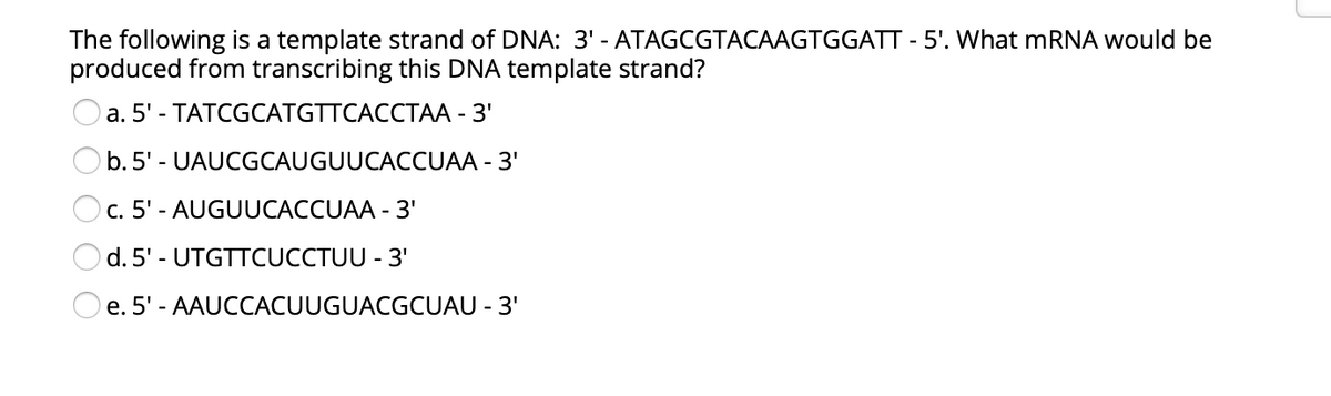 The following is a template strand of DNA: 3' - ATAGCGTACAAGTGGATT - 5'. What mRNA would be
produced from transcribing this DNA template strand?
a. 5' - TATCGCATGTTCACCTAA - 3'
b.5' - UAUCGCAUGUUCACCUAA - 3'
c. 5' - AUGUUCACCUAA - 3'
d. 5' - UTGTTCUCCTUU - 3'
O e. 5' - AAUCCACUUGUACGCUAU - 3'
