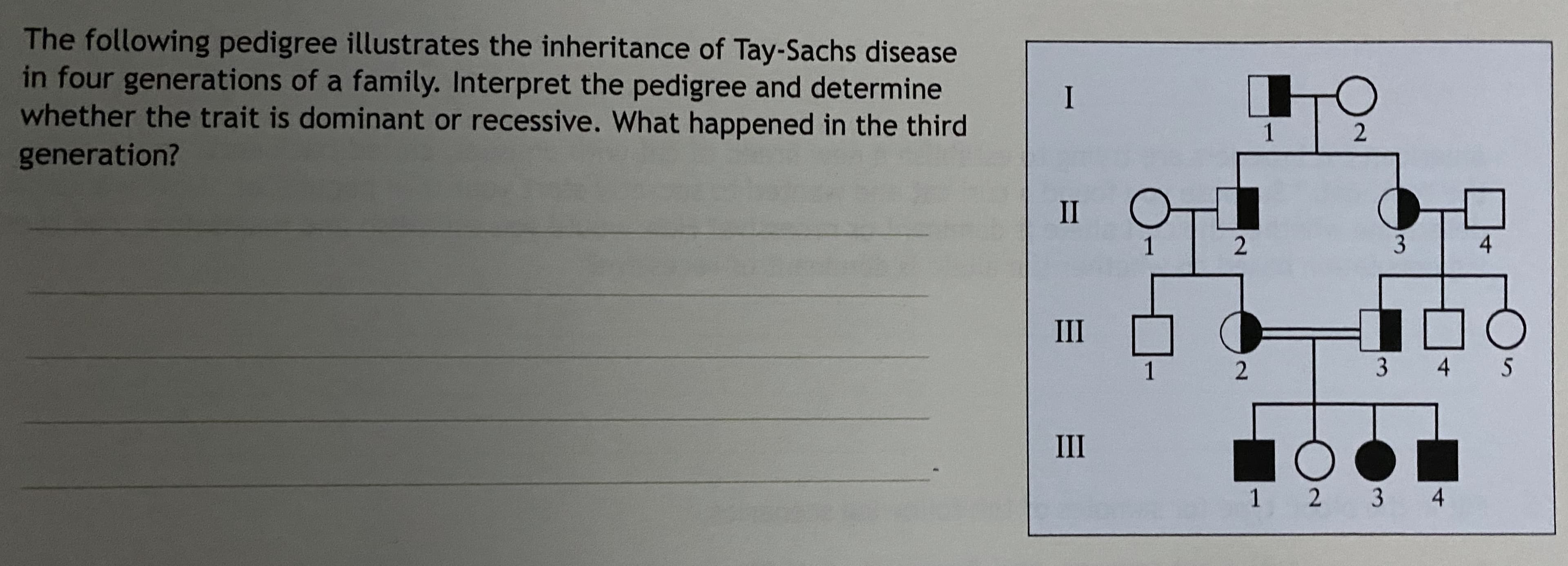 The following pedigree illustrates the inheritance of Tay-Sachs disease
in four generations of a family. Interpret the pedigree and determine
whether the trait is dominant or recessive. What happened in the third
generation?
