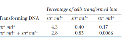 Percentage of cells transformed into
Transforming DNA
str" mtl-
str* mtl+
str" mtl+
str" mtl+
str" mtl- + str® mtl+
4.3
0.40
0.17
2.8
0.85
0.0066
