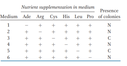 Nutrient supplementation in medium
Presence
Medium Ade Arg Cys His Leu Pro of colonies
3
C
4
z zuzu z
+ + + + + I
+ + + + I +
+ + +1 + +
+ + I + + +
+I + + + +
I + + + + +
1.
