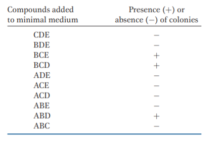 Compounds added
to minimal medium
Presence (+) or
absence (-) of colonies
CDE
BDE
ВСЕ
BCD
ADE
ACE
ACD
АВЕ
ABD
АВС
