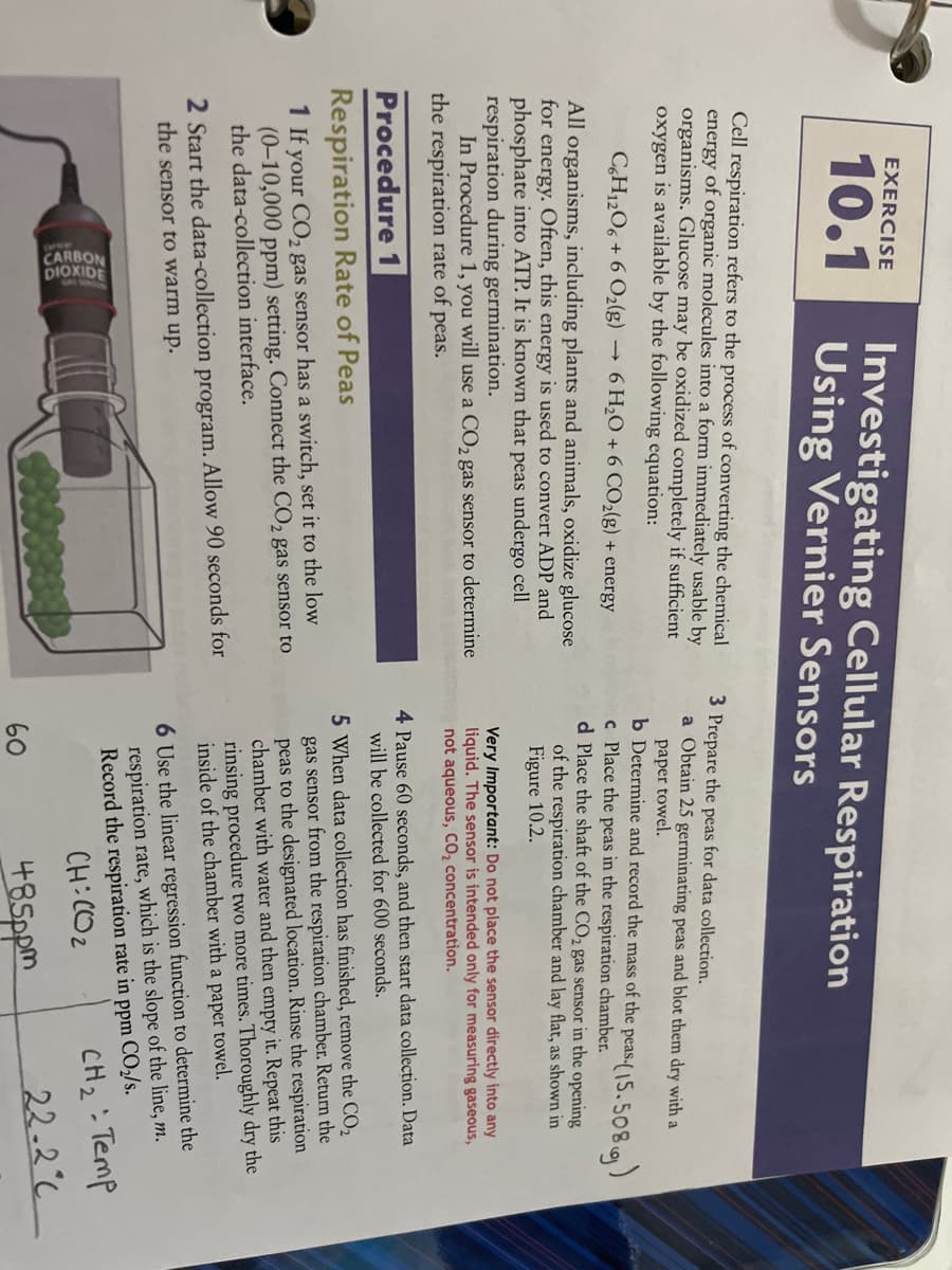 EXERCISE
10.1
Investigating Cellular Respiration
Using Vernier Sensors
Cell respiration refers to the process of converting the chemical
energy of organic molecules into a form immediately usable by
organisms. Glucose may be oxidized completely if sufficient
oxygen is available by the following equation:
C6H12O6 + 6 O₂(g)
->
6 H₂O + 6 CO₂(g) + energy
All organisms, including plants and animals, oxidize glucose
for energy. Often, this energy is used to convert ADP and
phosphate into ATP. It is known that peas undergo cell
respiration during germination.
In Procedure 1, you will use a CO₂ gas sensor to determine
the respiration rate of peas.
ABBON
CARBON
DIOXIDE
Procedure 1
Respiration Rate of Peas
1 If your CO₂ gas sensor has a switch, set it to the low
(0-10,000 ppm) setting. Connect the CO₂ gas sensor to
the data-collection interface.
2 Start the data-collection program. Allow 90 seconds for
the sensor to warm up.
3 Prepare the peas for data collection.
a Obtain 25 germinating peas and blot them dry with a
paper towel.
b Determine and record the mass of the peas. (15.508)
c Place the peas in the respiration chamber.
d Place the shaft of the CO₂ gas sensor in the opening
of the respiration chamber and lay flat, as shown in
Figure 10.2.
Very Important: Do not place the sensor directly into any
liquid. The sensor is intended only for measuring gaseous,
not aqueous, CO₂ concentration.
4 Pause 60 seconds, and then start data collection. Data
will be collected for 600 seconds.
5 When data collection has finished, remove the CO₂
gas sensor from the respiration chamber. Return the
peas to the designated location. Rinse the respiration
chamber with water and then empty it. Repeat this
rinsing procedure two more times. Thoroughly dry the
inside of the chamber with a paper towel.
6 Use the linear regression function to determine the
respiration rate, which is the slope of the line, m.
Record the respiration rate in ppm CO₂/s.
CH:CO2
CH₂ - Temp
485ppm
22-2°C
60