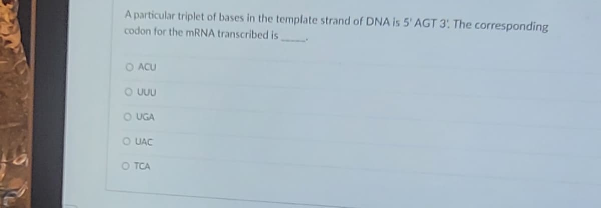 A particular triplet of bases in the template strand of DNA is 5' AGT 3: The corresponding
codon for the mRNA transcribed is
O ACU
O UUU
O UGA
O UAC
OTCA
