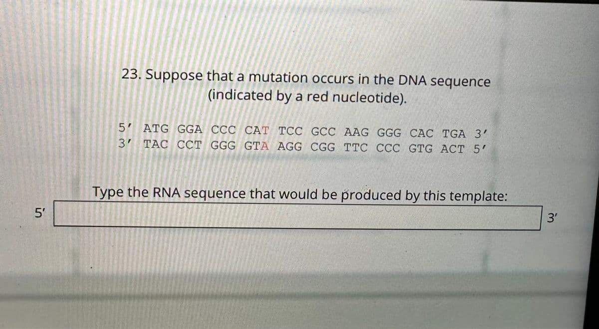 51
23. Suppose that a mutation occurs in the DNA sequence
(indicated by a red nucleotide).
5
ATG GGA CCC CAT TCC GCC AAG GGG CAC TGA 3'
3 TAC CCT GGG GTA AGG CGG TTC CCC GTG ACT 5'
Type the RNA sequence that would be produced by this template:
3′