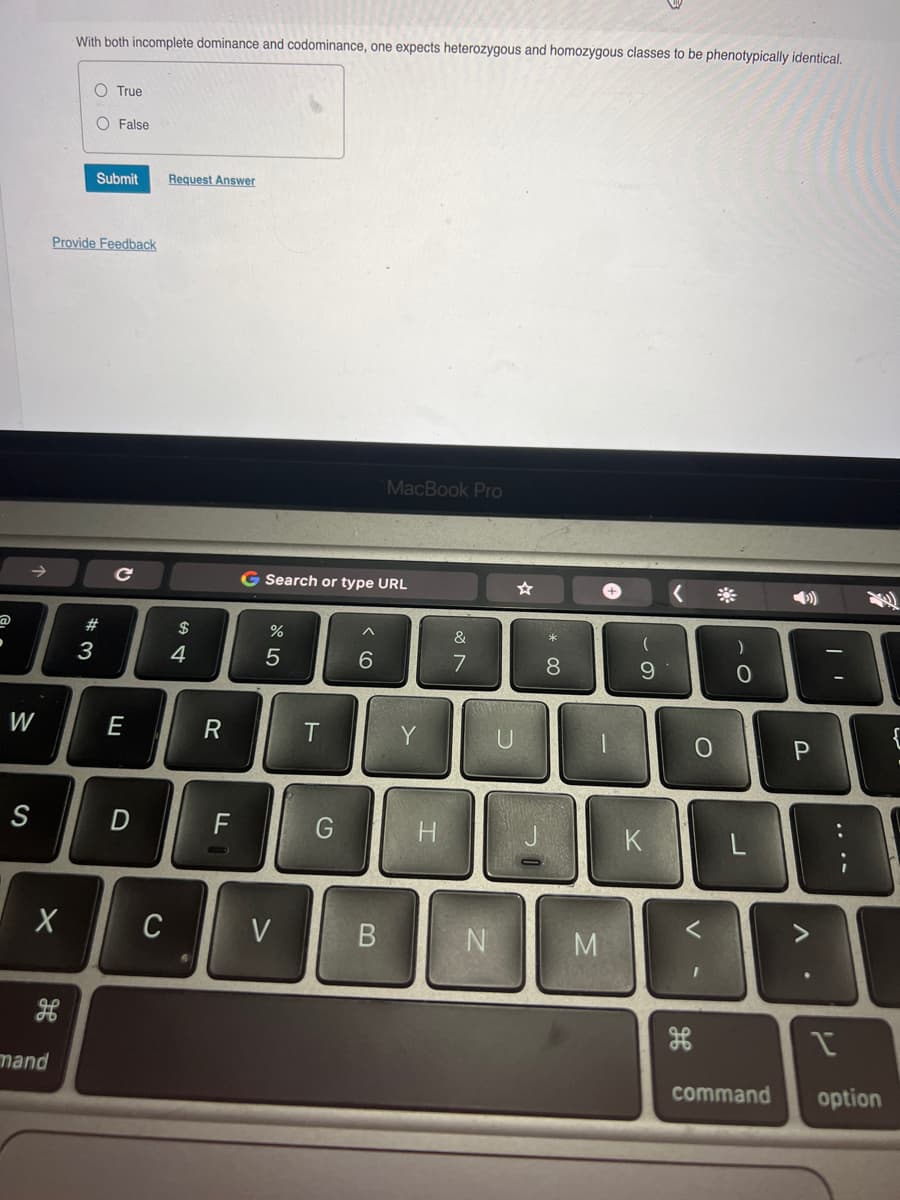 ·
W
S
X
mand
With both incomplete dominance and codominance, one expects heterozygous and homozygous classes to be phenotypically identical.
O True
O False
Submit
Provide Feedback
#3
с
E
D
C
Request Answer
$
4
R
LL
F
G Search or type URL
67 5⁰
%
5
V
T
G
6
MacBook Pro
B
Y
H
&
7
CALGON
N
U
* 00
8
+
4-
M
-
9
K
O
V
I
)
O
command
P
V
✓
option