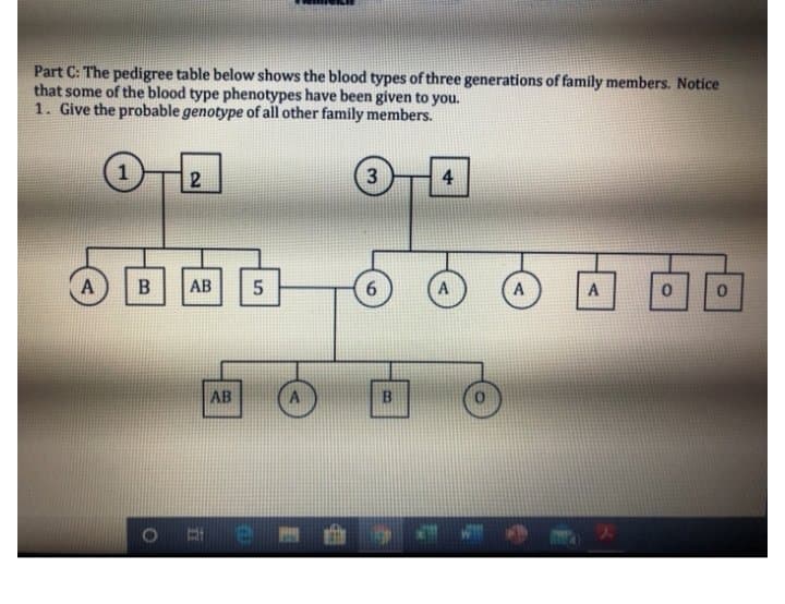 Part C: The pedigree table below shows the blood types of three generations of family members. Notice
that some of the blood type phenotypes have been given to you.
1. Give the probable genotype of all other family members.
3
4
A
AB
6.
A
AB
B.
B.
