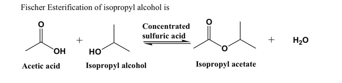 Fischer Esterification of isopropyl alcohol is
Concentrated
sulfuric acid
+
H20
OH
HO
Acetic acid
Isopropyl alcohol
Isopropyl acetate
