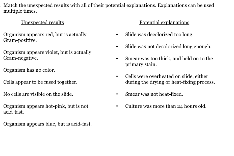 Match the unexpected results with all of their potential explanations. Explanations can be used
multiple times.
Unexpected results
Organism appears red, but is actually
Gram-positive.
Organism appears violet, but is actually
Gram-negative.
Organism has no color.
Cells appear to be fused together.
No cells are visible on the slide.
Organism appears hot-pink, but is not
acid-fast.
Organism appears blue, but is acid-fast.
.
●
Potential explanations
Slide was decolorized too long.
Slide was not decolorized long enough.
Smear was too thick, and held on to the
primary stain.
Cells were overheated on slide, either
during the drying or heat-fixing process.
Smear was not heat-fixed.
Culture was more than 24 hours old.