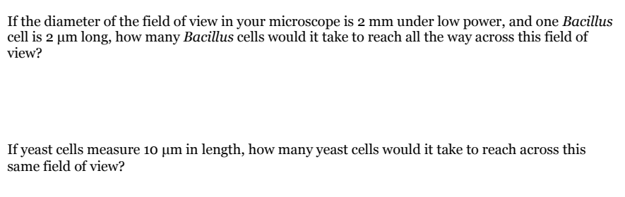If the diameter of the field of view in your microscope is 2 mm under low power, and one Bacillus
cell is 2 µm long, how many Bacillus cells would it take to reach all the way across this field of
view?
If yeast cells measure 10 µm in length, how many yeast cells would it take to reach across this
same field of view?