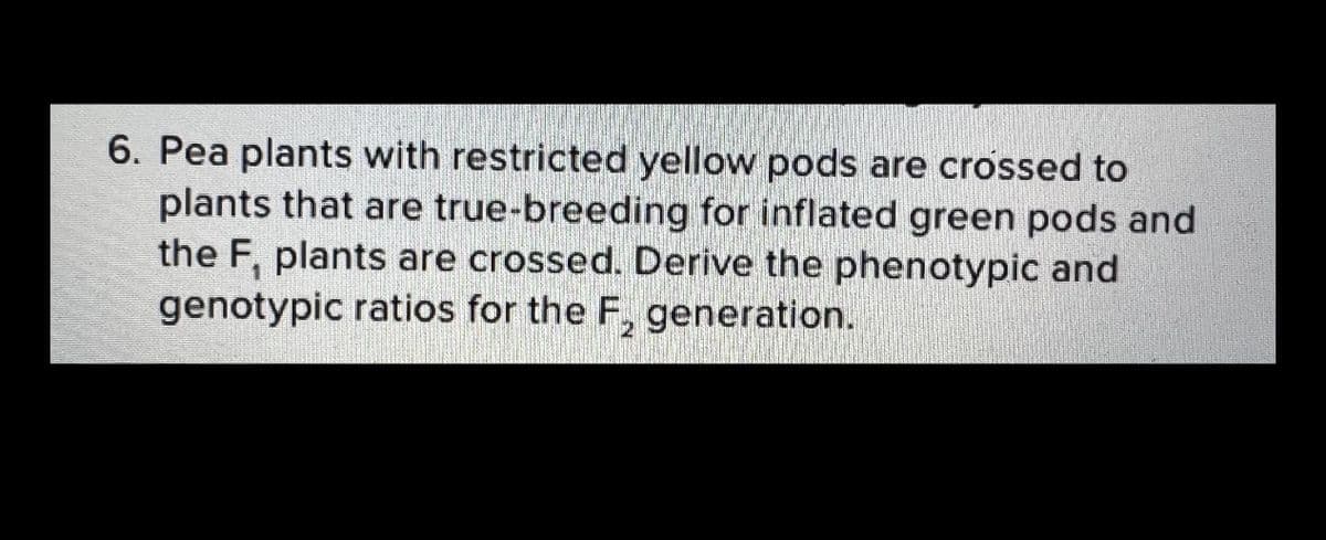 6. Pea plants with restricted yellow pods are crossed to
plants that are true-breeding for inflated green pods and
the F, plants are crossed. Derive the phenotypic and
genotypic ratios for the F, generation.
2