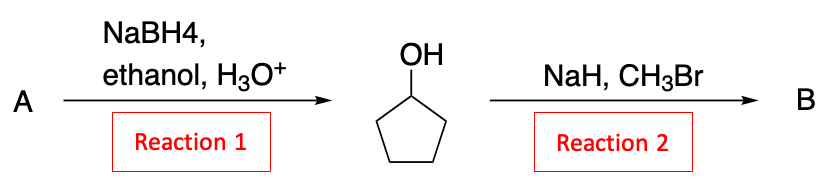 A
NaBH4,
ethanol, H3O+
Reaction 1
OH
NaH, CH3Br
Reaction 2
B