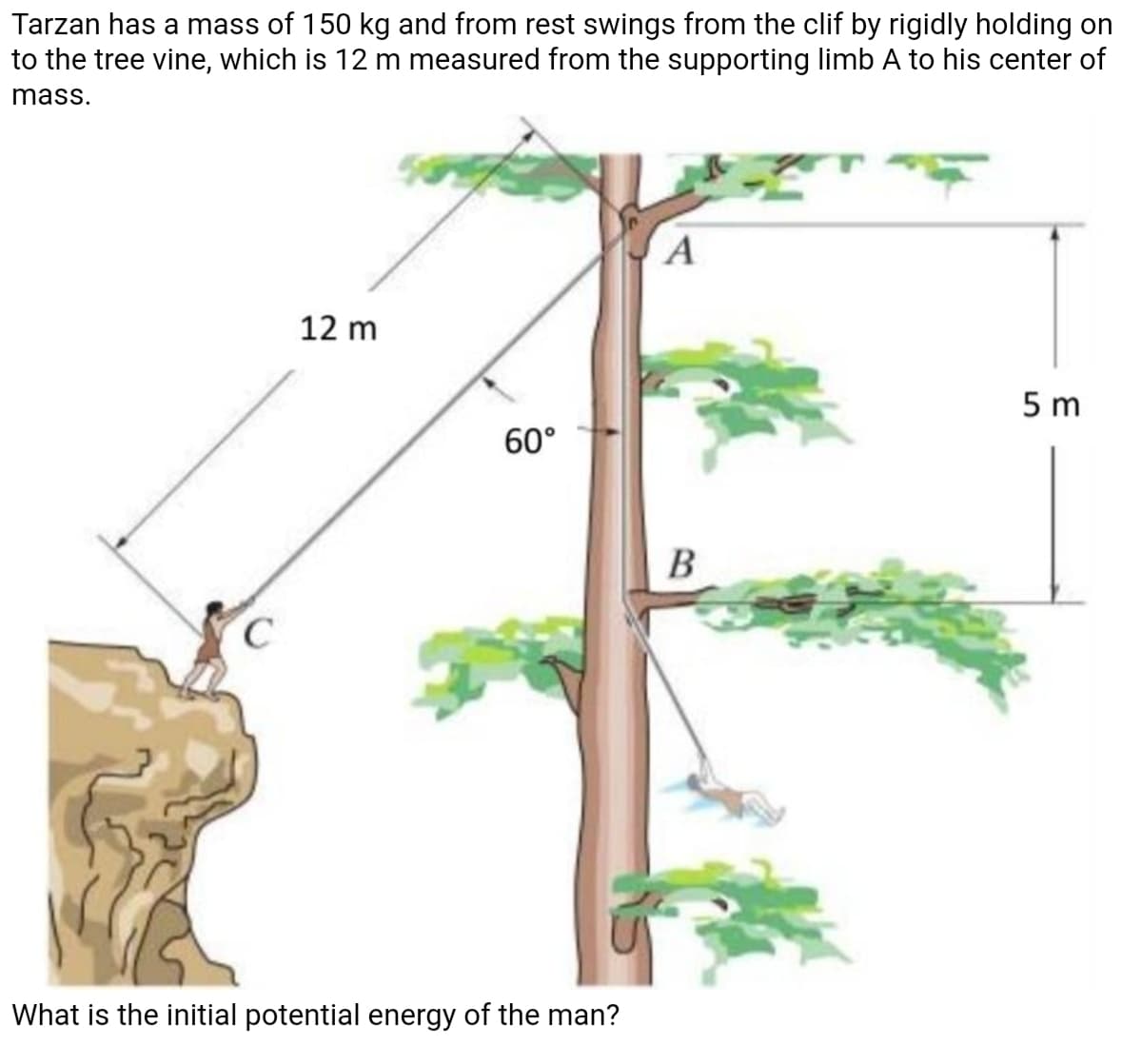Tarzan has a mass of 150 kg and from rest swings from the clif by rigidly holding on
to the tree vine, which is 12 m measured from the supporting limb A to his center of
mass.
A
12 m
5 m
60°
В
What is the initial potential energy of the man?
