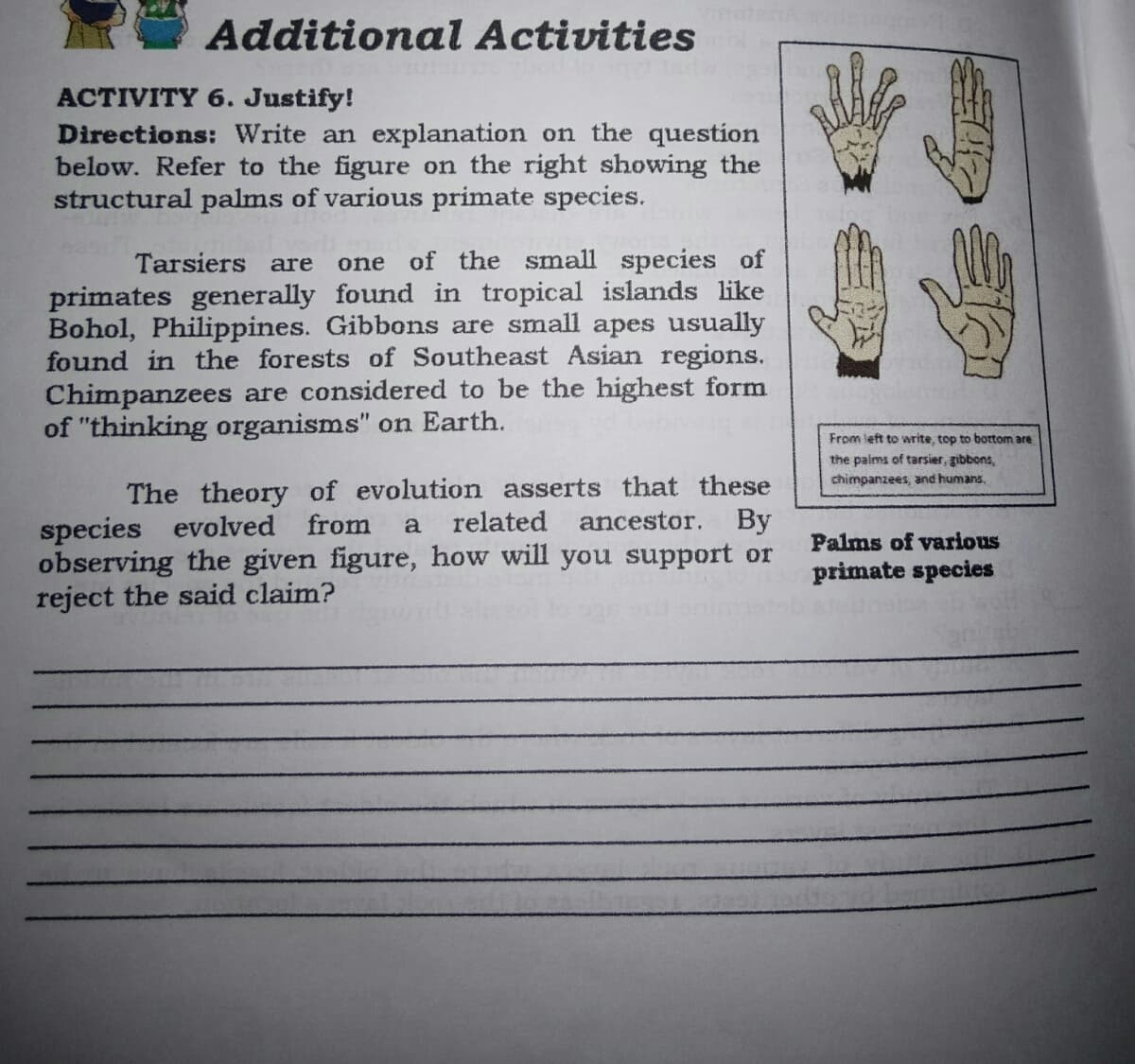 Additional Activities
ACTIVITY 6. Justify!
Directions: Write an explanation on the question
below. Refer to the figure on the right showing the
structural palms of various primate species.
Tarsiers are
of the small species of
one
primates generally found in tropical islands like
Bohol, Philippines. Gibbons are small apes usually
found in the forests of Southeast Asian regions.
Chimpanzees are considered to be the highest form
of "thinking organisms" on Earth.
From left to write, top to bortom are
the paims of tarsier, gibbons,
chimpanzees, and humans,
The theory of evolution asserts that these
species evolved
from
a
related
ancestor.
By
Palms of various
observing the given figure, how will you support or
primate species
reject the said claim?
