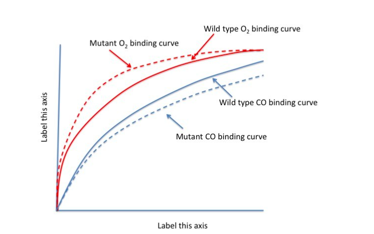 Wild type O, binding curve
Mutant O, binding curve
Wild type CO binding curve
Mutant CO binding curve
Label this axis
Label this axis
