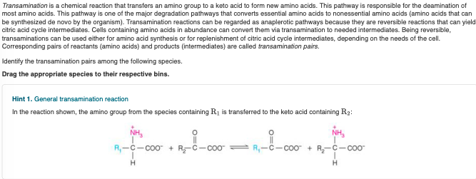 Transamination is a chemical reaction that transfers an amino group to a keto acid to form new amino acids. This pathway is responsible for the deamination of
most amino acids. This pathway is one of the major degradation pathways that converts essential amino acids to nonessential amino acids (amino acids that can
be synthesized de novo by the organism). Transamination reactions can be regarded as anaplerotic pathways because they are reversible reactions that can yield
citric acid cycle intermediates. Cells containing amino acids in abundance can convert them via transamination to needed intermediates. Being reversible,
transaminations can be used either for amino acid synthesis or for replenishment of citric acid cycle intermediates, depending on the needs of the cell.
Corresponding pairs of reactants (amino acids) and products (intermediates) are called transamination pairs.
Identify the transamination pairs among the following species.
Drag the appropriate species to their respective bins.
Hint 1. General transamination reaction
In the reaction shown, the amino group from the species containing R1 is transferred to the keto acid containing R2:
NH,
NH,
R,-C-co0 + R-C-co0
R,-C-CoO + R-C-c0"
