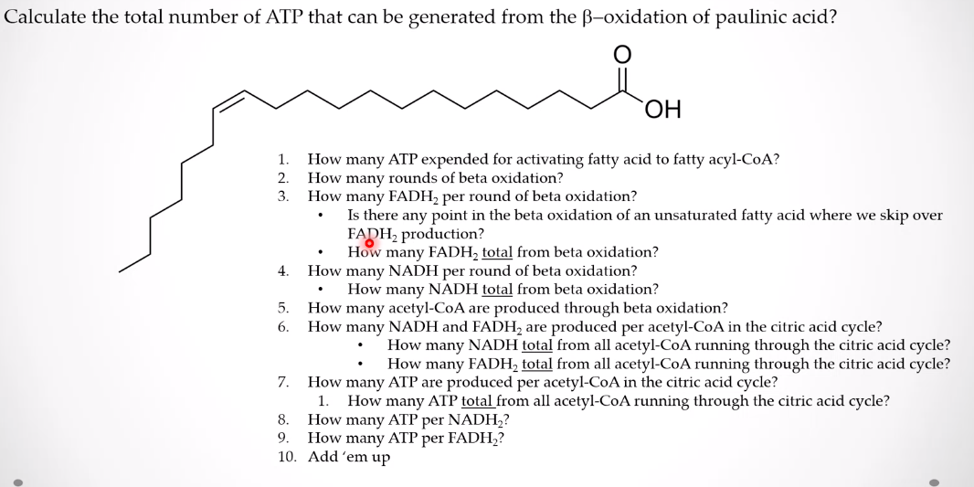 Calculate the total number of ATP that can be generated from the ß-oxidation of paulinic acid?
ОН
1.
How many ATP expended for activating fatty acid to fatty acyl-CoA?
How many rounds of beta oxidation?
How many FADH2 per round of beta oxidation?
Is there any point in the beta oxidation of an unsaturated fatty acid where we skip over
FADH, production?
How many FADH, total from beta oxidation?
How many NADH per round of beta oxidation?
How many NADH total from beta oxidation?
How many acetyl-CoA are produced through beta oxidation?
6.
2.
3.
4.
5.
How many NADH and FADH, are produced per acetyl-CoA in the citric acid cycle?
How many NADH total from all acetyl-CoA running through the citric acid cycle?
How many FADH, total from all acetyl-CoA running through the citric acid cycle?
How many ATP are produced per acetyl-CoA in the citric acid cycle?
How many ATP total from all acetyl-CoA running through the citric acid cycle?
How many ATP per NADH,?
9.
7.
1.
8.
How many ATP per FADH,?
10. Add´em up
