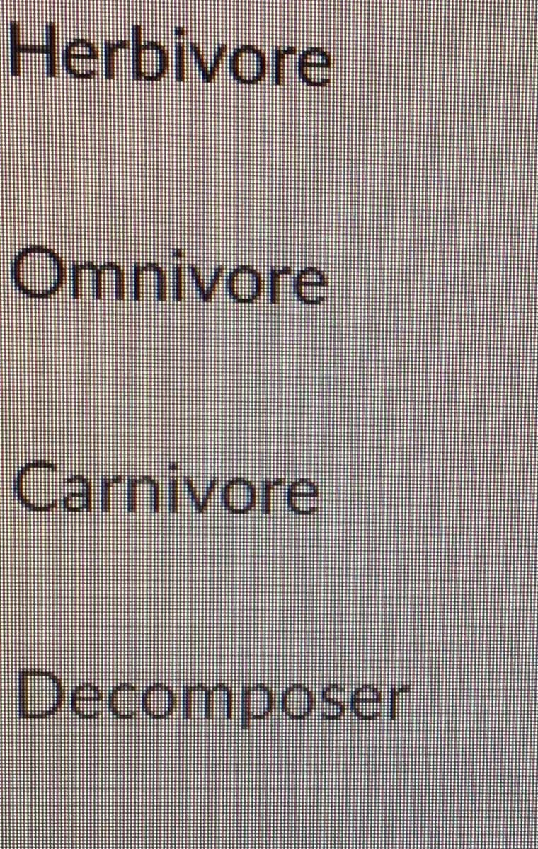 Herbivore
Omnivore
Carnivore
Decomposer
