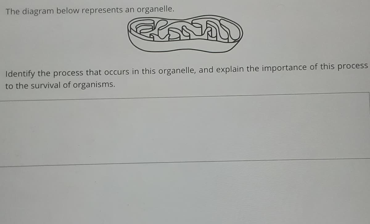 The diagram below represents an organelle.
Identify the process that occurs in this organelle, and explain the importance of this process
to the survival of organisms.
