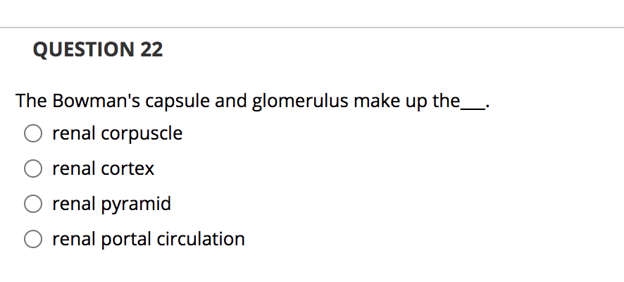 QUESTION 22
The Bowman's capsule and glomerulus make up the
renal corpuscle
renal cortex
renal pyramid
O renal portal circulation
