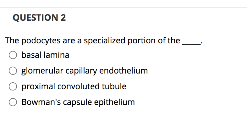 QUESTION 2
The podocytes are a specialized portion of the
basal lamina
glomerular capillary endothelium
proximal convoluted tubule
Bowman's capsule epithelium
