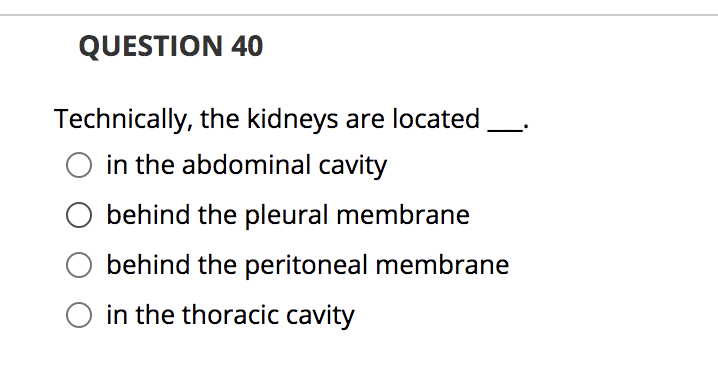 QUESTION 40
Technically, the kidneys are located
O in the abdominal cavity
behind the pleural membrane
behind the peritoneal membrane
in the thoracic cavity
