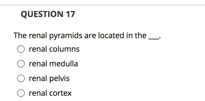 QUESTION 17
The renal pyramids are located in the
renal columns
renal medulla
renal pelvis
O renal cortex
