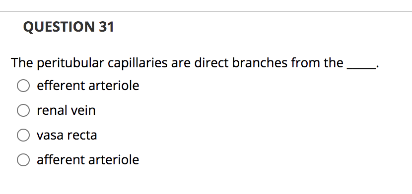 QUESTION 31
The peritubular capillaries are direct branches from the
efferent arteriole
O renal vein
vasa recta
afferent arteriole
