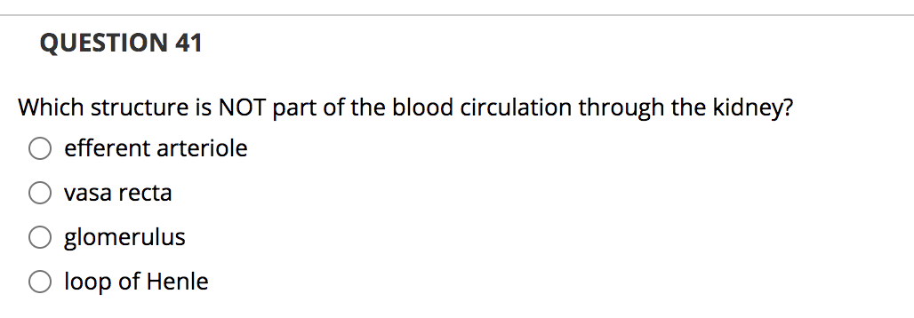 QUESTION 41
Which structure is NOT part of the blood circulation through the kidney?
efferent arteriole
vasa recta
glomerulus
O loop of Henle
