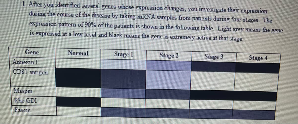 1. After you identified several genes whose expression changes, you investigate their expression
during the course of the disease by taking mRNA samples from patients during four stages. The
expression pattern of 90% of the patients is shown in the following table. Light grey means the gene
is expressed at a low level and black means the gene is extremely active at that stage.
Stage 2
Gene
Annexin I
CD81 antigen
Maspin
Rho GDI
Fascin
Normal
Stage 1
Stage 3
Stage 4