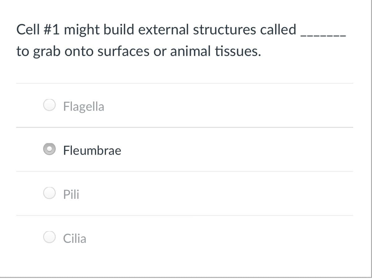 Cell #1 might build external structures called
to grab onto surfaces or animal tissues.
Flagella
Fleumbrae
Pili
Cilia
