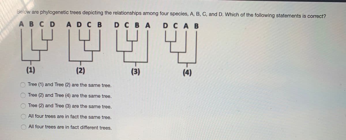 Below are phylogenetic trees depicting the relationships among four species, A, B, C, and D. Which of the following statements is correct?
ABCD
ADCB DCBA
D CAB
(1)
(2)
(3)
(4)
Tree (1) and Tree (2) are the same tree.
Tree (2) and Tree (4) are the same tree.
Tree (2) and Tree (3) are the same tree.
All four trees are in fact the same tree.
All four trees are in fact different trees.
