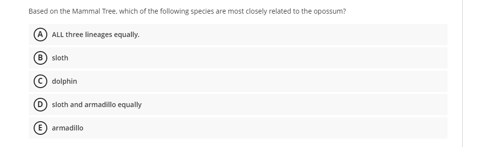Based on the Mammal Tree, which of the following species are most closely related to the opossum?
(A) ALL three lineages equally.
(B) sloth
(C) dolphin
(D) sloth and armadillo equally
(E) armadillo