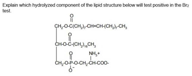 Explain which hydrolyzed component of the lipid structure below will test positive in the Br2
test.
CH,O-C(CH,),-CH=CH-(CH,),-CH,
CH-O-C-(CH,),,CH,
NH,+
ČH,O-P-O-CH,-ČH-COO-

