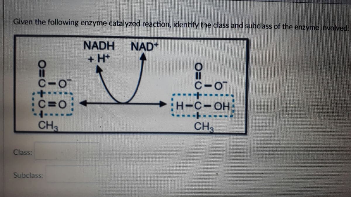 Given the following enzyme catalyzed reaction, identify the class and subclass of the enzyme involved:
NADH
NAD*
+ H*
C-O
C-OT
C=0
H-C-OH
CH
CH
Class:
Subclass:
