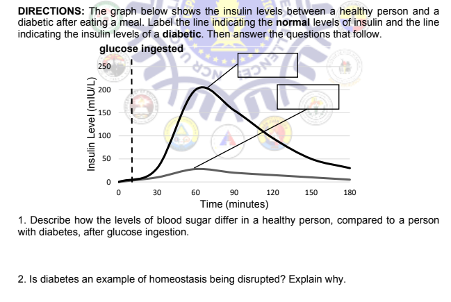 DIRECTIONS: The graph below shows the insulin levels between a healthy person and a
diabetic after eating a meal. Label the line indicating the normal levels of insulin and the line
indicating the insulin levels of a diabetic. Then answer the questions that follow.
glucose ingested
250
200
9
150
X
100
50
0
30
90
120
150
180
Time (minutes)
1. Describe how the levels of blood sugar differ in a healthy person, compared to a person
with diabetes, after glucose ingestion.
2. Is diabetes an example of homeostasis being disrupted? Explain why.
Insulin Level (mIU/L)
L
60
O