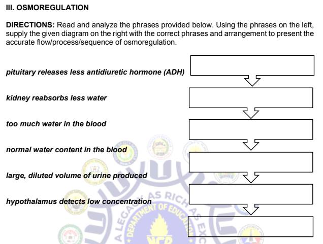 III. OSMOREGULATION
DIRECTIONS: Read and analyze the phrases provided below. Using the phrases on the left,
supply the given diagram on the right with the correct phrases and arrangement to present the
accurate flow/process/sequence of osmoregulation.
pituitary releases less antidiuretic hormone (ADH)
kidney reabsorbs less water
too much water in the blood
normal water content in the blood
large, diluted volume of urine produced
hypothalamus detects low concentration
U
AS RICA
A LEGA
DEPARTM
I!!!
EDUCA
NED