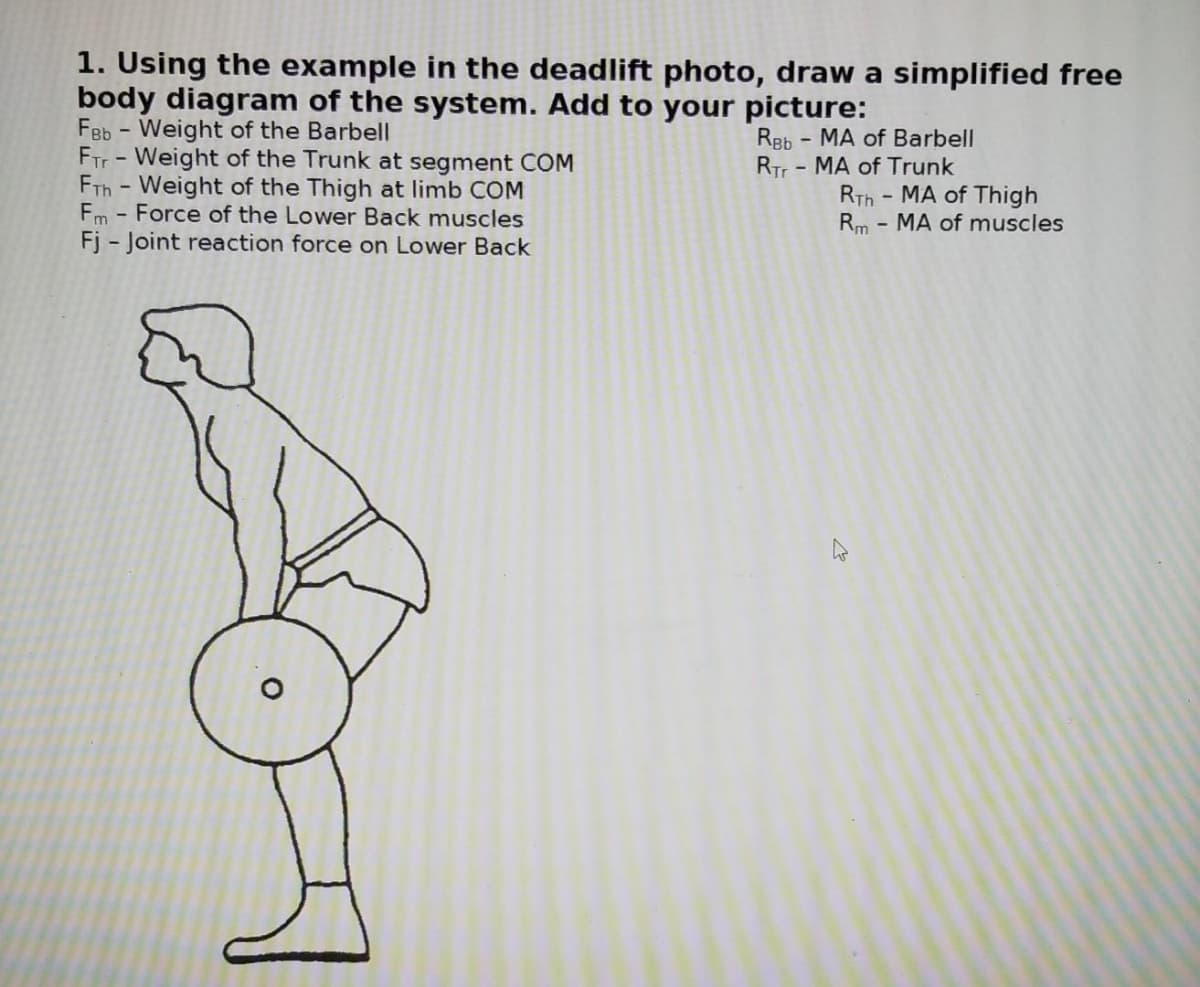 1. Using the example in the deadlift photo, draw a simplified free
body diagram of the system. Add to your picture:
FBb - Weight of the Barbell
FTr- Weight of the Trunk at segment COM
FTh - Weight of the Thigh at limb COM
Fm - Force of the Lower Back muscles
Fj - Joint reaction force on Lower Back
Reb
RTr - MA of Trunk
- MA of Barbell
RTh - MA of Thigh
Rm - MA of muscles
